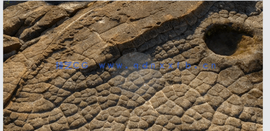 RenderMan逼真照片级环境渲染技术视频教程(图5) RenderMan逼真照片级环境渲染技术视频教程(图5)