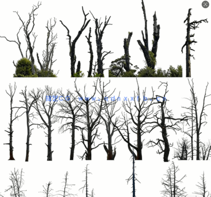 高清枯树免抠素材PHOTOBASH – Dead Trees(图1) 高清枯树免抠素材PHOTOBASH – Dead Trees(图1)