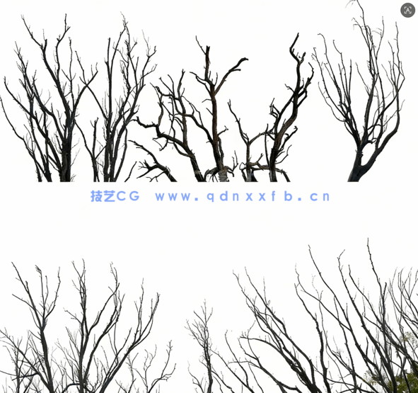 高清枯树免抠素材PHOTOBASH – Dead Trees(图3) 高清枯树免抠素材PHOTOBASH – Dead Trees(图3)