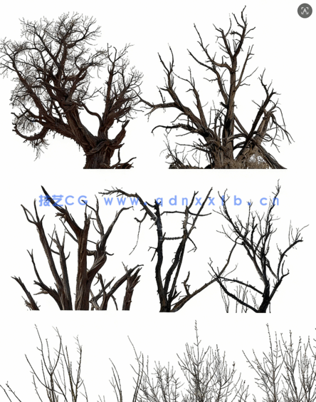 高清枯树免抠素材PHOTOBASH – Dead Trees(图4) 高清枯树免抠素材PHOTOBASH – Dead Trees(图4)