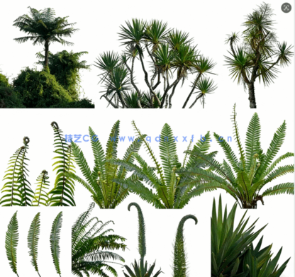 高清植物免抠素材PHOTOBASH – Prehistoric Plants(图1) 高清植物免抠素材PHOTOBASH – Prehistoric Plants(图1)