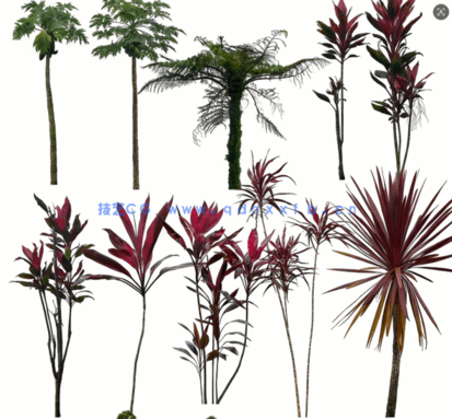 高清植物免抠素材PHOTOBASH – Prehistoric Plants(图2) 高清植物免抠素材PHOTOBASH – Prehistoric Plants(图2)