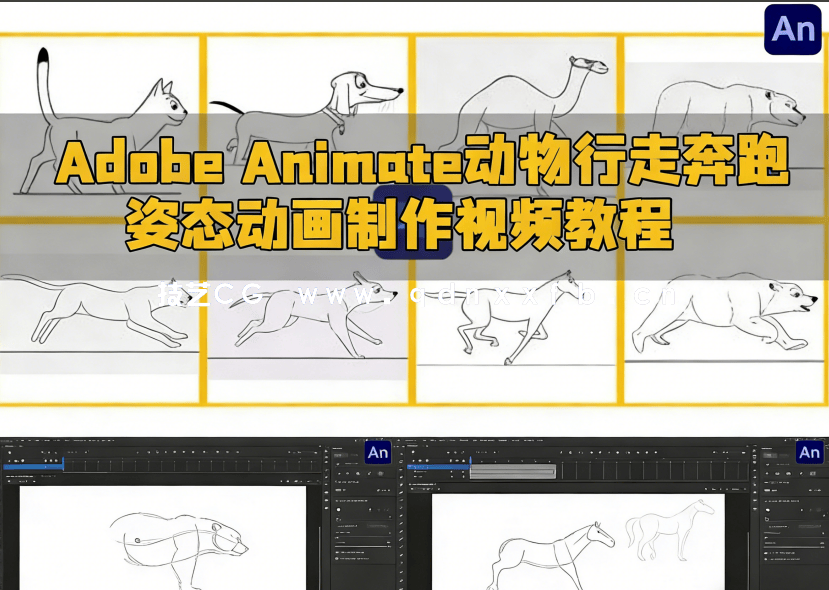 Adobe Animate动物行走奔跑姿态动画制作视频教程(图6) Adobe Animate动物行走奔跑姿态动画制作视频教程(图6)