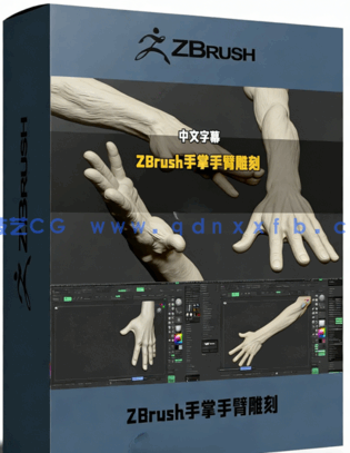 ZBrush手掌手臂数字雕刻技术训练视频教程(图1) ZBrush手掌手臂数字雕刻技术训练视频教程(图1)
