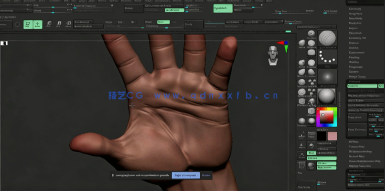 ZBrush手掌手臂数字雕刻技术训练视频教程(图3) ZBrush手掌手臂数字雕刻技术训练视频教程(图3)