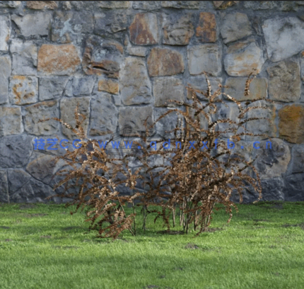 花园植物灌木3D模型 Evermotion – Archmodels Vol.204(图1) 花园植物灌木3D模型 Evermotion – Archmodels Vol.204(图1)