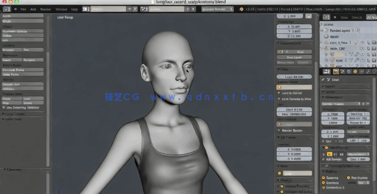 Blender逼真女性头发造型实例制作视频教程(图4) Blender逼真女性头发造型实例制作视频教程(图4)