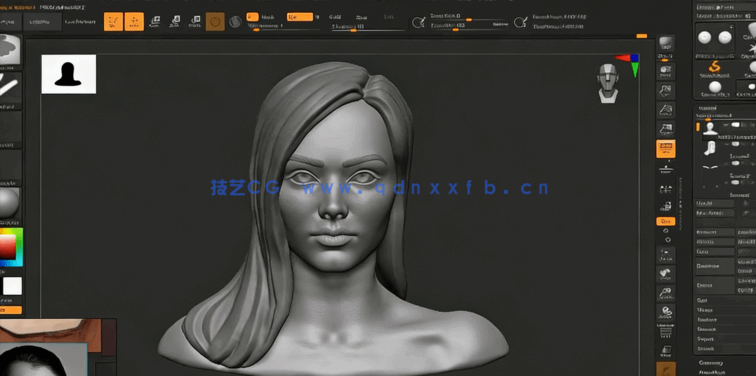 Zbrush女性人物头部肖像数字雕刻流程视频教程(图5) Zbrush女性人物头部肖像数字雕刻流程视频教程(图5)