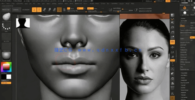 Zbrush女性人物头部肖像数字雕刻流程视频教程(图6) Zbrush女性人物头部肖像数字雕刻流程视频教程(图6)
