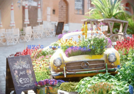 花园植物花朵3D模型 Evermotion Archmodels Vol.183(图2) 花园植物花朵3D模型 Evermotion Archmodels Vol.183(图2)