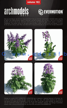花园植物花朵3D模型 Evermotion Archmodels Vol.183(图5) 花园植物花朵3D模型 Evermotion Archmodels Vol.183(图5)