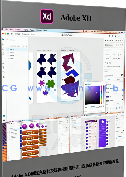 Adobe XD创建完整社交媒体应用程序UI/UX高级基础知识视频教程(图6) Adobe XD创建完整社交媒体应用程序UI/UX高级基础知识视频教程(图6)
