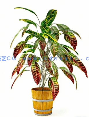 Archmodels vol. 75 室内植物小品(图2) Archmodels vol. 75 室内植物小品(图2)