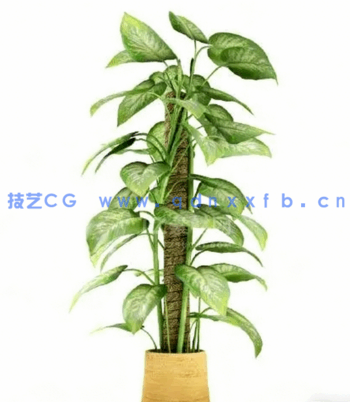 Archmodels vol. 75 室内植物小品(图5) Archmodels vol. 75 室内植物小品(图5)