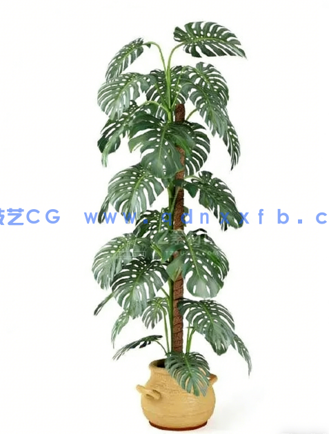 Archmodels vol. 75 室内植物小品(图1) Archmodels vol. 75 室内植物小品(图1)