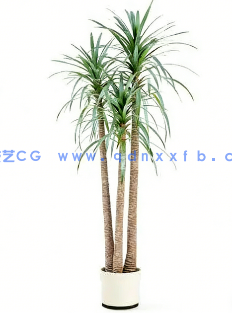 Archmodels vol. 75 室内植物小品(图6) Archmodels vol. 75 室内植物小品(图6)