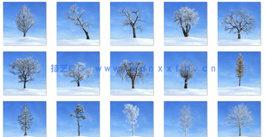 秋冬树木Evermotion Archmodels vol.100(图1) 秋冬树木Evermotion Archmodels vol.100(图1)