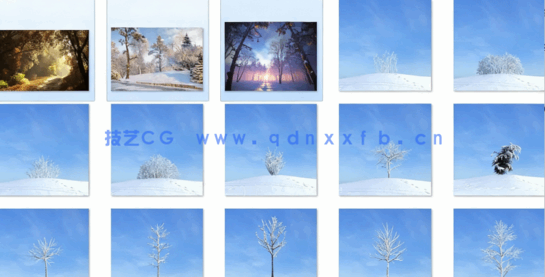 秋冬树木Evermotion Archmodels vol.100(图3) 秋冬树木Evermotion Archmodels vol.100(图3)