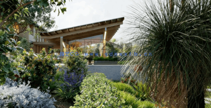 Globe Plants - Bundle 24 - Australian Home and Garden 03(图3)