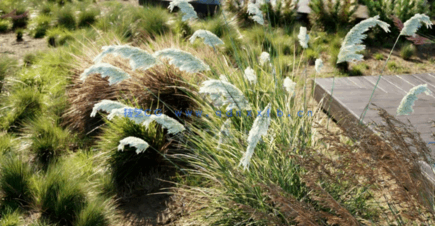 植物草3D模型 Globe Plants – Bundle 26 – Ornamental Grasses 02(图2) 植物草3D模型 Globe Plants – Bundle 26 – Ornamental Grasses 02(图2)