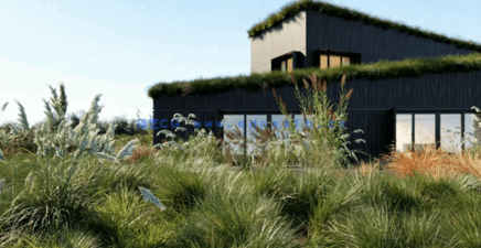 植物草3D模型 Globe Plants – Bundle 26 – Ornamental Grasses 02(图3) 植物草3D模型 Globe Plants – Bundle 26 – Ornamental Grasses 02(图3)