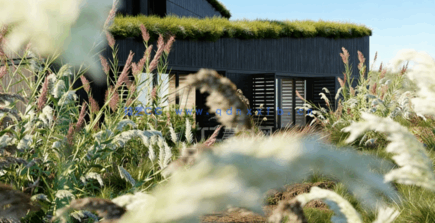 植物草3D模型 Globe Plants – Bundle 26 – Ornamental Grasses 02(图4) 植物草3D模型 Globe Plants – Bundle 26 – Ornamental Grasses 02(图4)