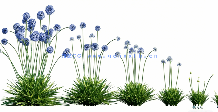 Globe Plants – Bundle 25 – Temperate Plants 02(图4) Globe Plants – Bundle 25 – Temperate Plants 02(图4)