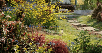 Globe Plants – Bundle 25 – Temperate Plants 02(图5) Globe Plants – Bundle 25 – Temperate Plants 02(图5)