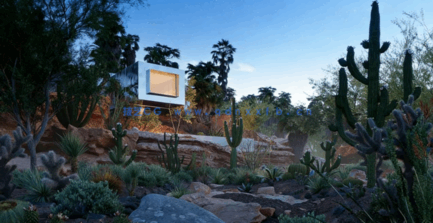 Bundle 34 - Mexican Plants (3D Model)(图2) Bundle 34 - Mexican Plants (3D Model)(图2)