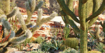 Bundle 34 - Mexican Plants (3D Model)(图5) Bundle 34 - Mexican Plants (3D Model)(图5)