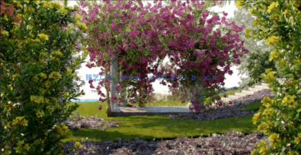 藤蔓植物3D模型 Globe Plants – Bundle 06 (3DS MAX格式)(图1)