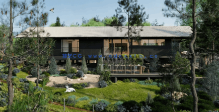 针叶树花园Globe Plants – Bundle 10 – Conifer Garden(图5) 针叶树花园Globe Plants – Bundle 10 – Conifer Garden(图5)