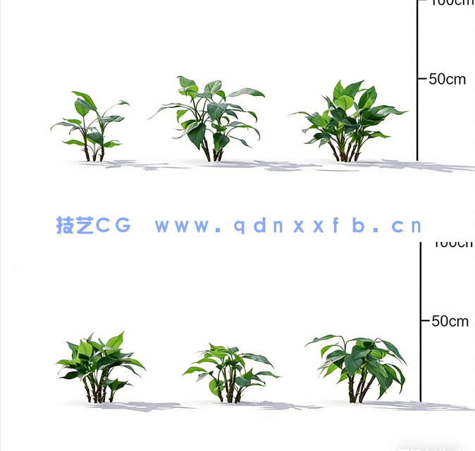 Plant Models Vol 19 植物绿植(图3) Plant Models Vol 19 植物绿植(图3)