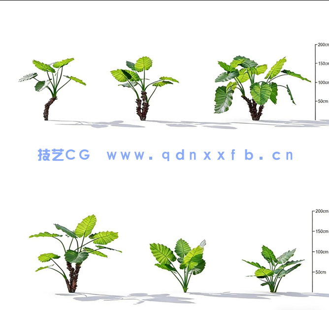Plant Models Vol 19 植物绿植(图4) Plant Models Vol 19 植物绿植(图4)