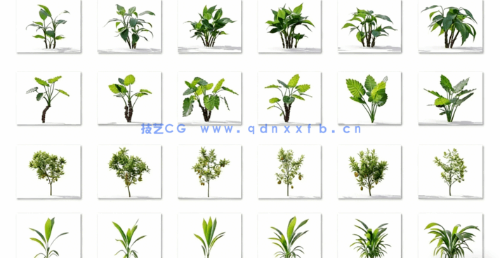 Plant Models Vol 19 植物绿植(图1) Plant Models Vol 19 植物绿植(图1)
