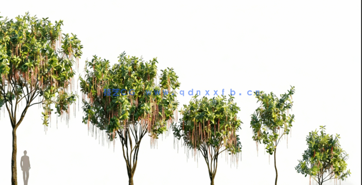 热带植物 Globe Plants – Bundle 05 – Tropical Plants(图3) 热带植物 Globe Plants – Bundle 05 – Tropical Plants(图3)