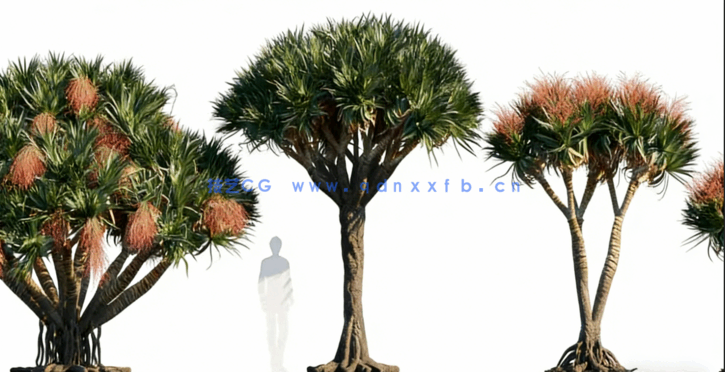 热带植物 Globe Plants – Bundle 05 – Tropical Plants(图5) 热带植物 Globe Plants – Bundle 05 – Tropical Plants(图5)