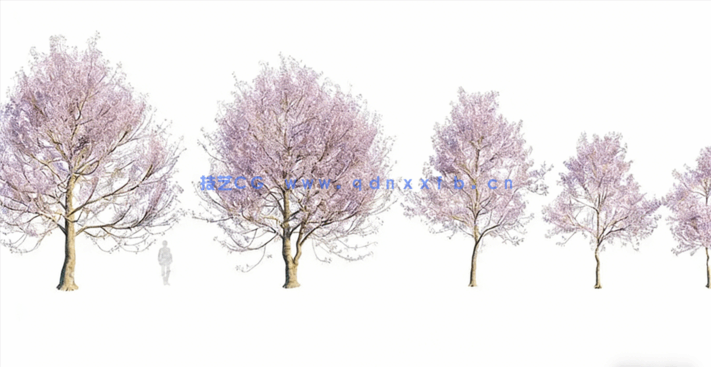 法国花园植物灌木3D模型 Globe Plants – Bundle 28(图5)