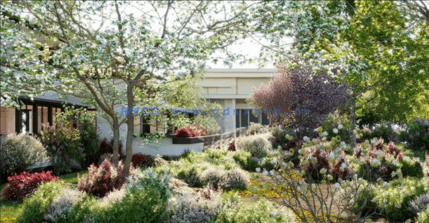 北美花园植物灌木3D模型 Globe Plants – Bundle 27(图2) 北美花园植物灌木3D模型 Globe Plants – Bundle 27(图2)