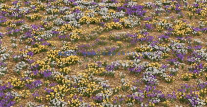 3DMAX花朵植物3D模型 Vizpark – Real Flowers(图1) 3DMAX花朵植物3D模型 Vizpark – Real Flowers(图1)