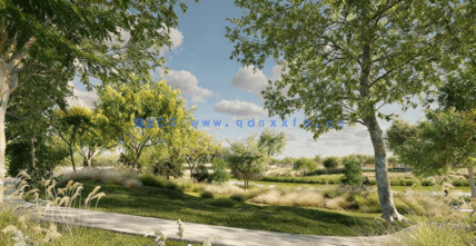 城市行道树3D模型Globe Plants - Bundle 65 - Street Trees(图4)