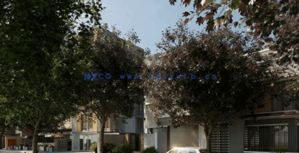 城市行道树3D模型Globe Plants - Bundle 65 - Street Trees(图5)