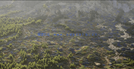 草地和花园景观3D植物模型Globe Plants - Bundle 58 - Meadow Plants(图2) 草地和花园景观3D植物模型Globe Plants - Bundle 58 - Meadow Plants(图2)