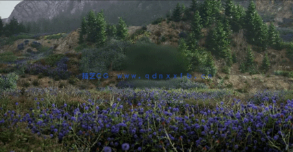 草地和花园景观3D植物模型Globe Plants - Bundle 58 - Meadow Plants(图4) 草地和花园景观3D植物模型Globe Plants - Bundle 58 - Meadow Plants(图4)