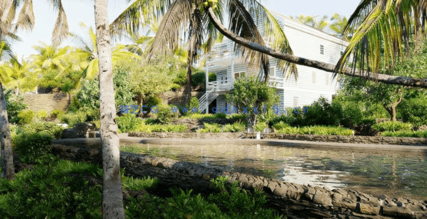 热带3D植物模型Globe Plants - Bundle 56 - Hawaiian Plants(图2) 热带3D植物模型Globe Plants - Bundle 56 - Hawaiian Plants(图2)