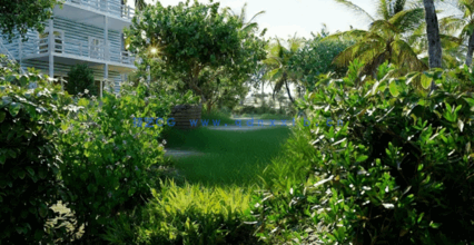 热带3D植物模型Globe Plants - Bundle 56 - Hawaiian Plants(图4) 热带3D植物模型Globe Plants - Bundle 56 - Hawaiian Plants(图4)