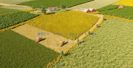 农业植物3D模型Globe Plants - Bundle 54 - Agricultural Plants(图3)