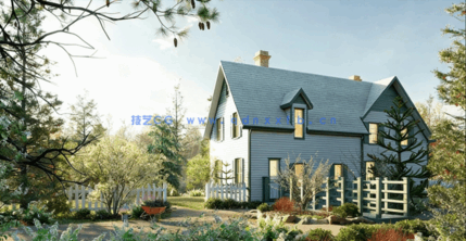 花园装饰植物Globe Plants - Bundle 43 - Canadian Home & Garden Plants(图1)