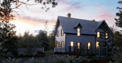 花园装饰植物Globe Plants - Bundle 43 - Canadian Home & Garden Plants(图3)