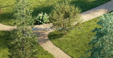 花园装饰植物Globe Plants - Bundle 43 - Canadian Home & Garden Plants(图5)